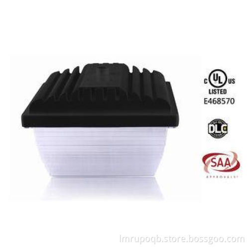 Lighting Angle 160 Induction Led Canopy Lamp , UL , CUL App
